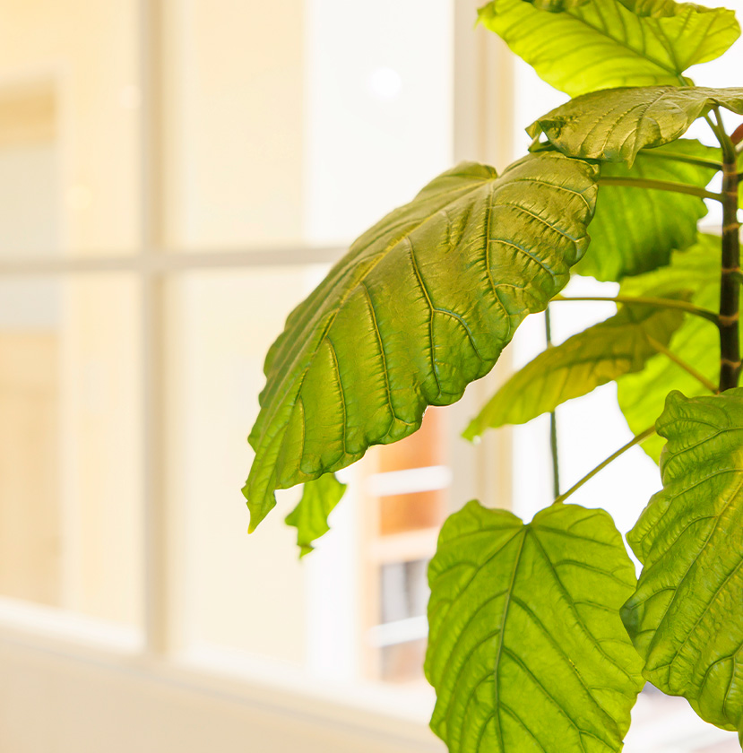 メインビジュアル